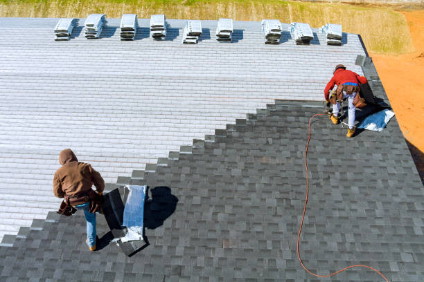 Best Roof Leak Repair  in Walthourville, GA