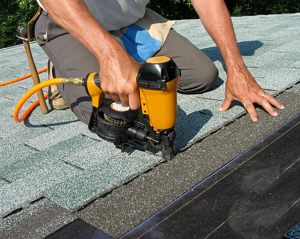 Best Gutter Installation and Roofing  in Walthourville, GA