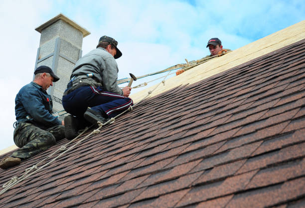 Roof Gutter Cleaning in Walthourville, GA